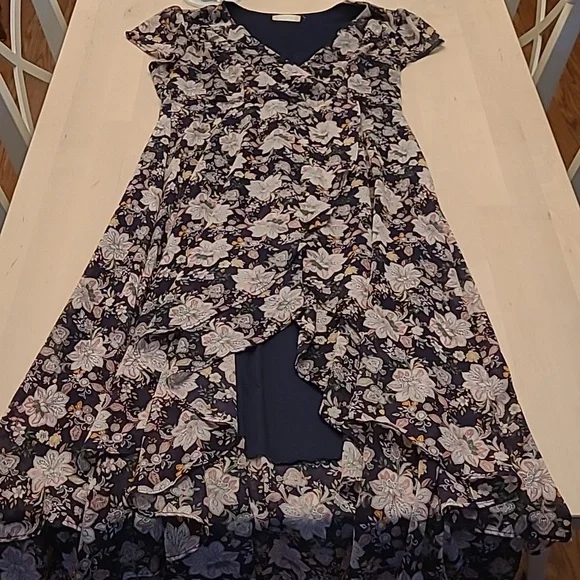 LIKE NEW Altar'd State Floral Print High Low Floral Short Sleeved Dress - Picture 3 of 12